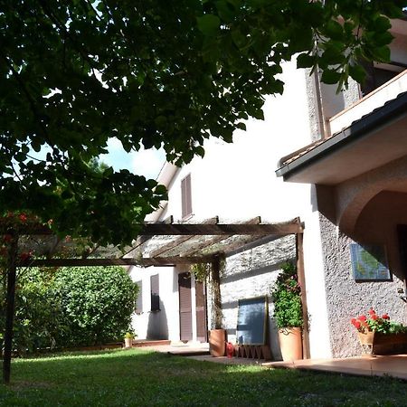 Agriturismo Piana Arborello Hotel Magliano in Toscana Buitenkant foto