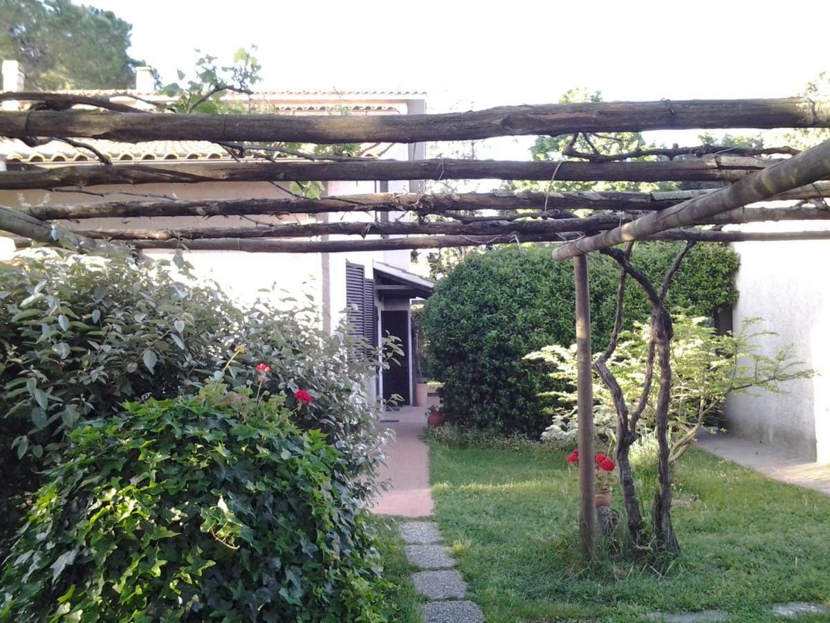 Agriturismo Piana Arborello Hotel Magliano in Toscana Buitenkant foto