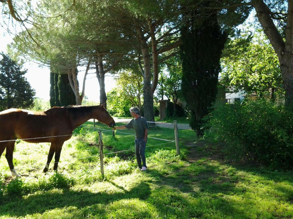 Agriturismo Piana Arborello Hotel Magliano in Toscana Buitenkant foto