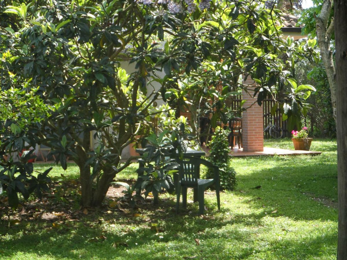 Agriturismo Piana Arborello Hotel Magliano in Toscana Buitenkant foto