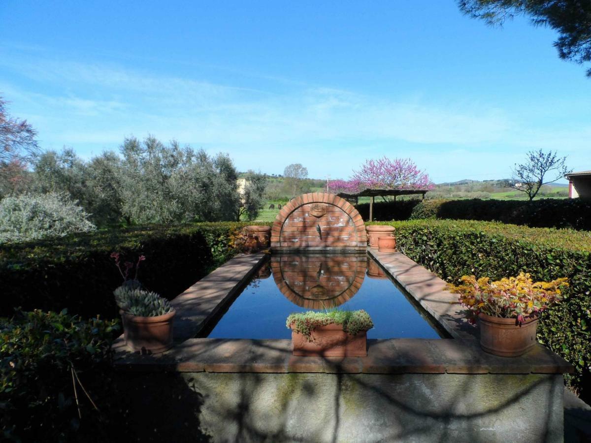 Agriturismo Piana Arborello Hotel Magliano in Toscana Buitenkant foto