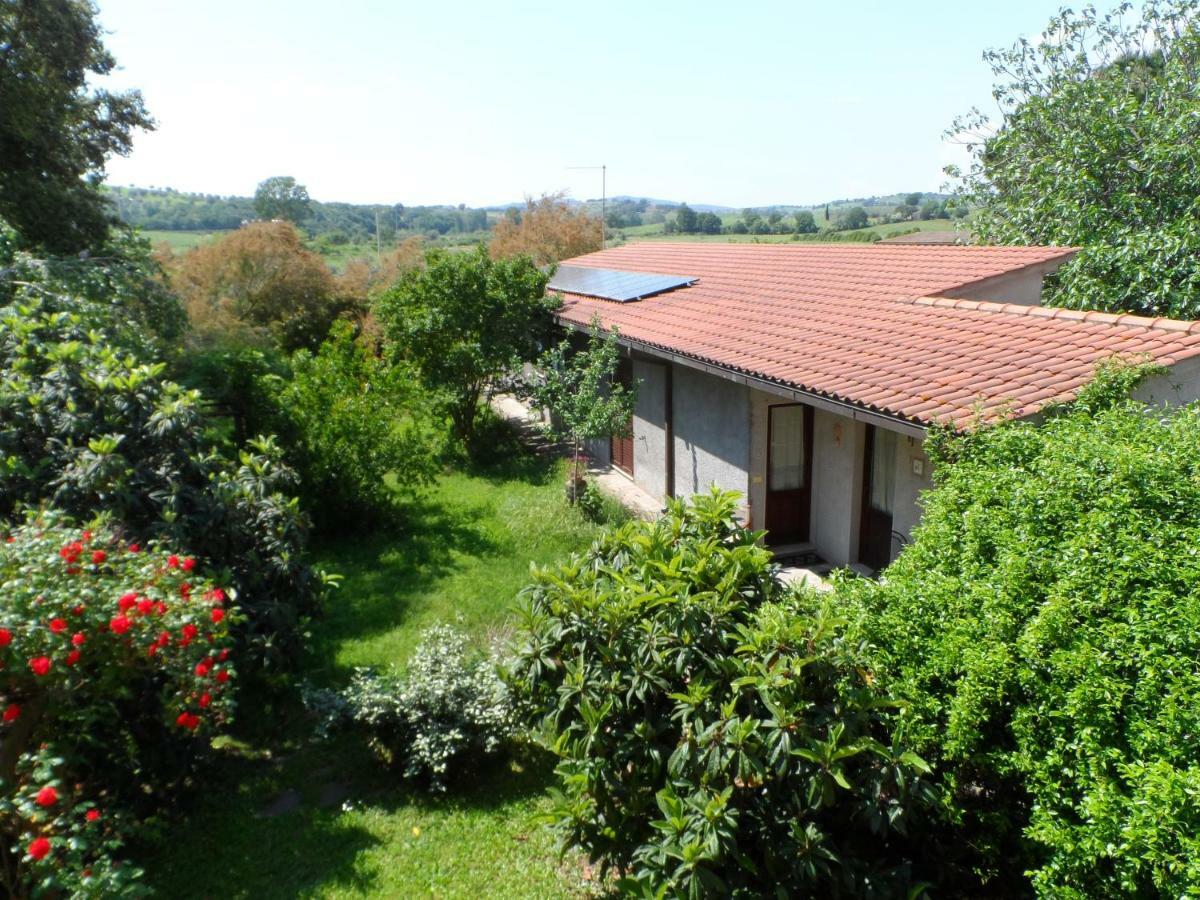 Agriturismo Piana Arborello Hotel Magliano in Toscana Buitenkant foto