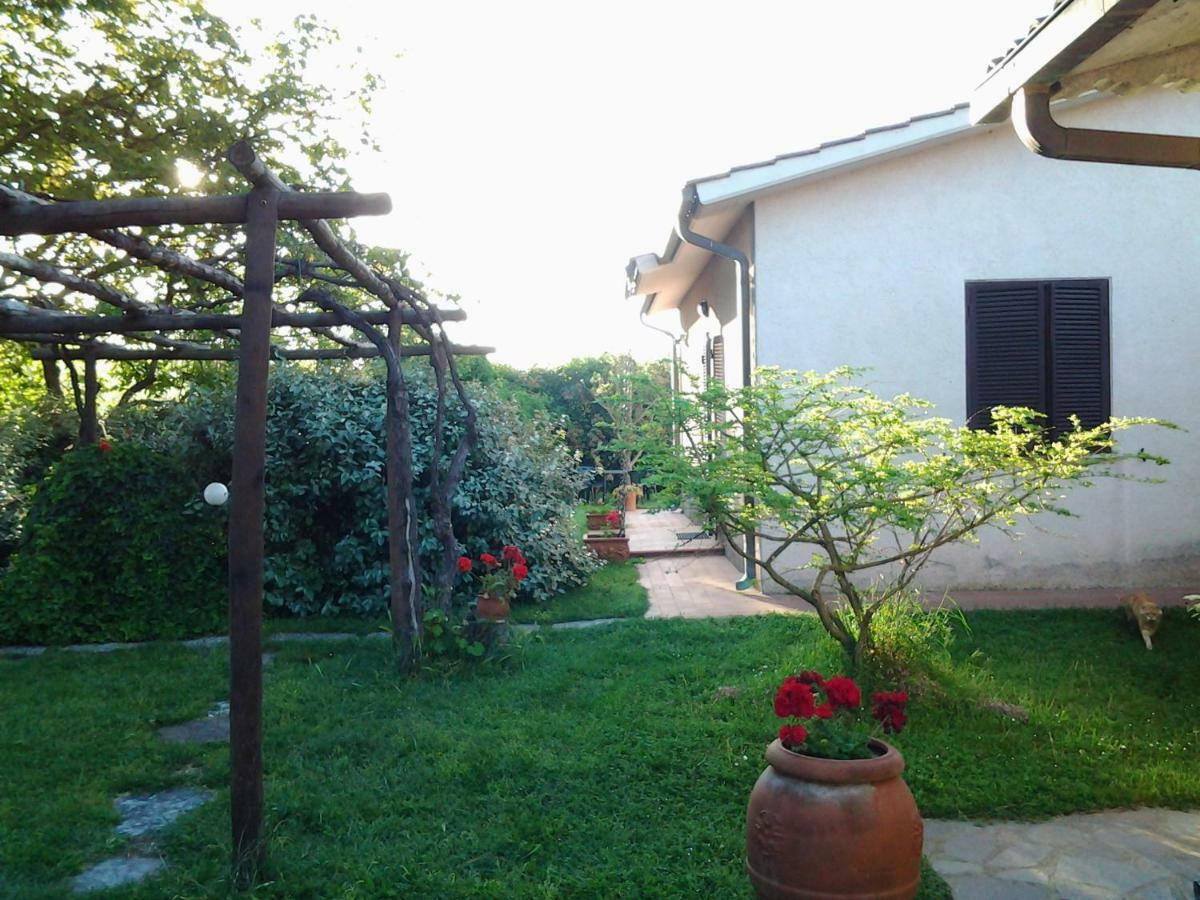 Agriturismo Piana Arborello Hotel Magliano in Toscana Buitenkant foto