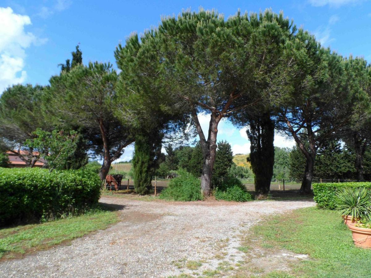 Agriturismo Piana Arborello Hotel Magliano in Toscana Buitenkant foto