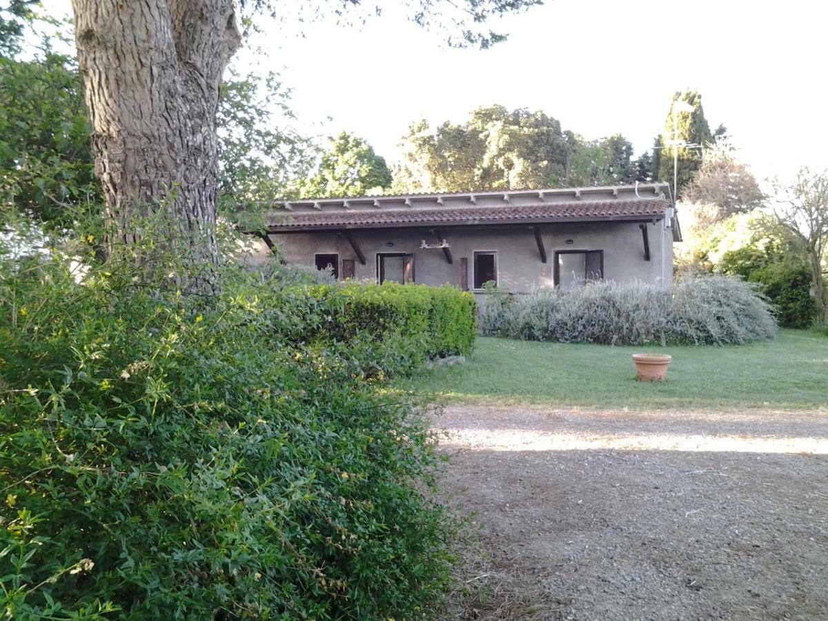 Agriturismo Piana Arborello Hotel Magliano in Toscana Buitenkant foto