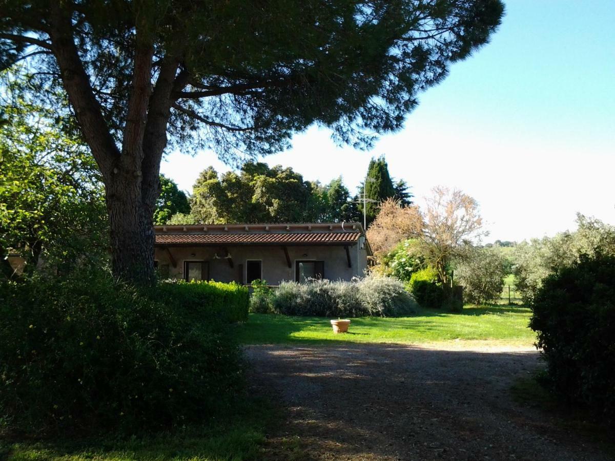 Agriturismo Piana Arborello Hotel Magliano in Toscana Buitenkant foto