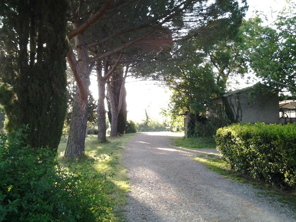 Agriturismo Piana Arborello Hotel Magliano in Toscana Buitenkant foto