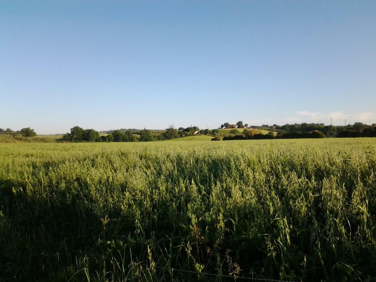 Agriturismo Piana Arborello Hotel Magliano in Toscana Buitenkant foto