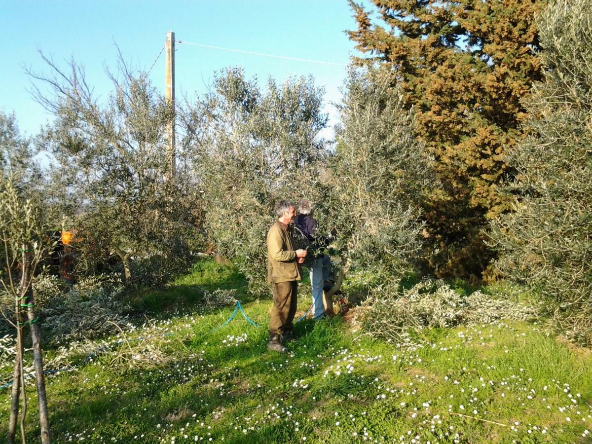 Agriturismo Piana Arborello Hotel Magliano in Toscana Buitenkant foto